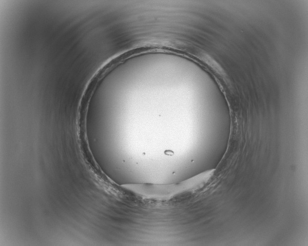 X0000073841020200608311929