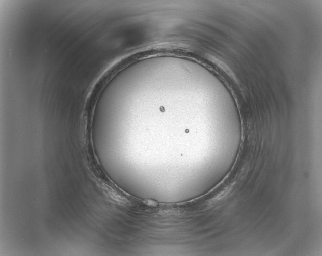 X0000073841021200608311929