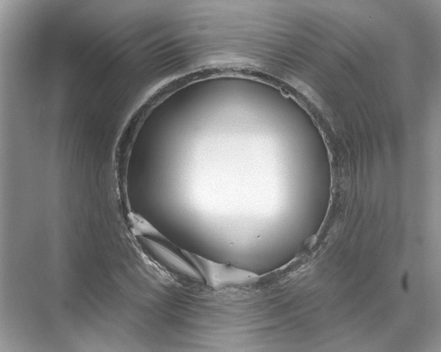 X0000073841022200608311929