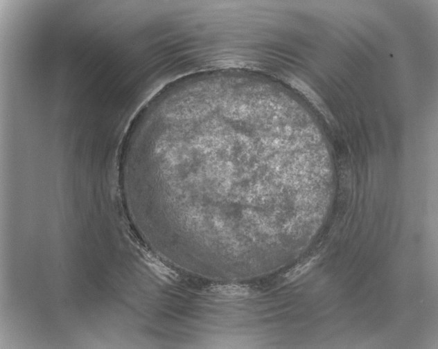 X0000073841023200608311929