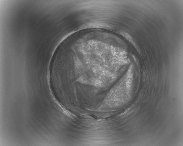 X0000073841024200608311929