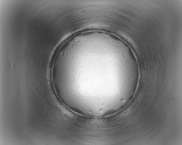 X0000073841029200608311929