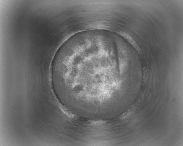 X0000073841031200608311929