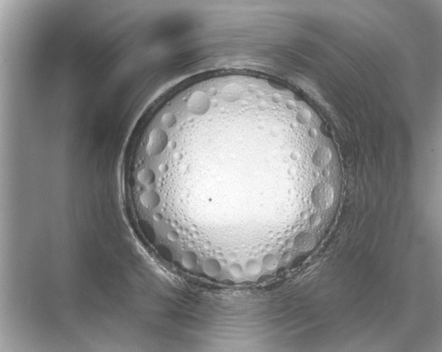 X0000073841032200608311929