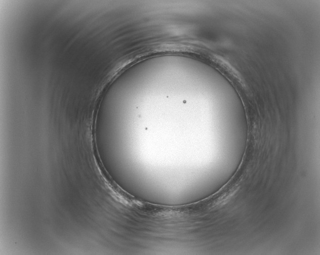 X0000073841033200608311929