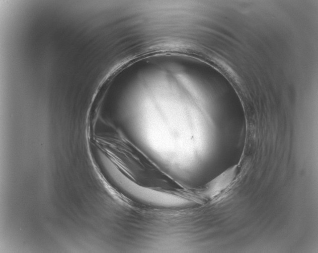 X0000073841034200608311929