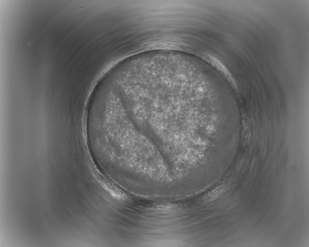 X0000073841035200608311929