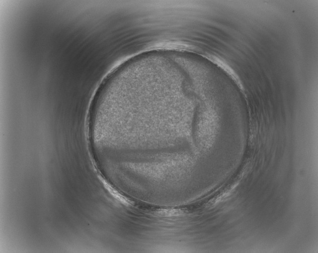 X0000073841037200608311929