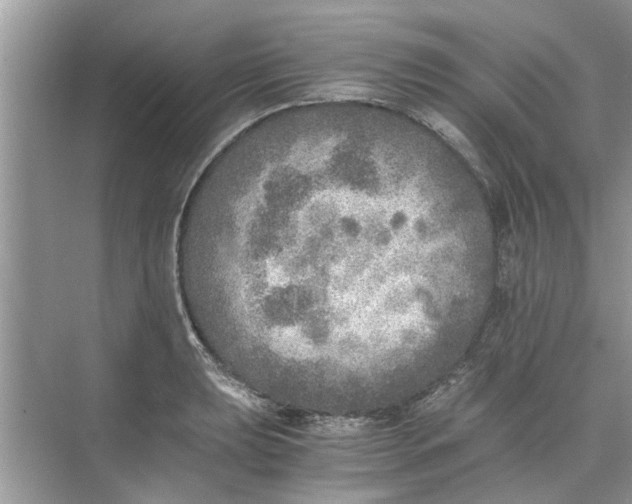 X0000073841039200608311929