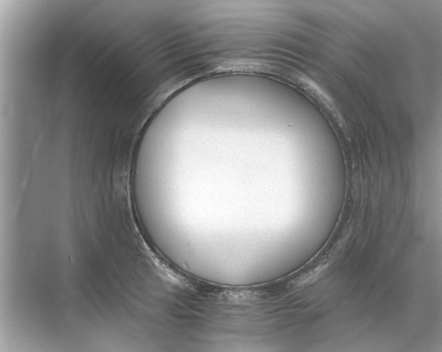 X0000073841041200608311929