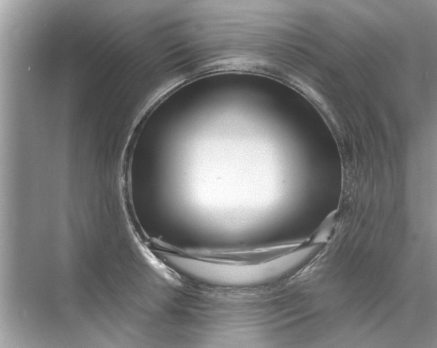 X0000073841042200608311929