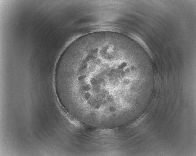 X0000073841043200608311929