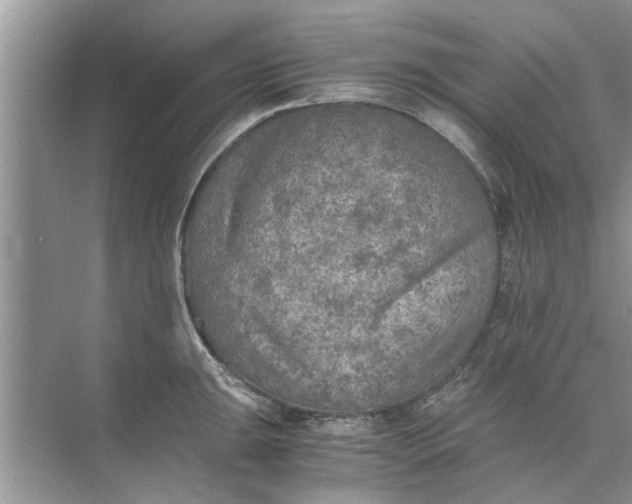 X0000073841047200608311929