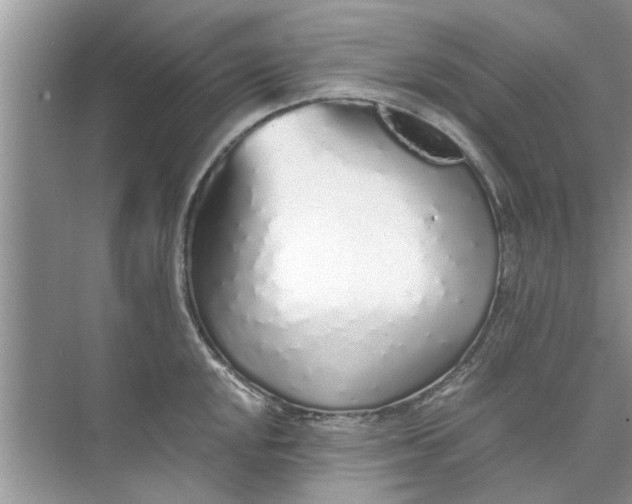 X0000073841048200608311929