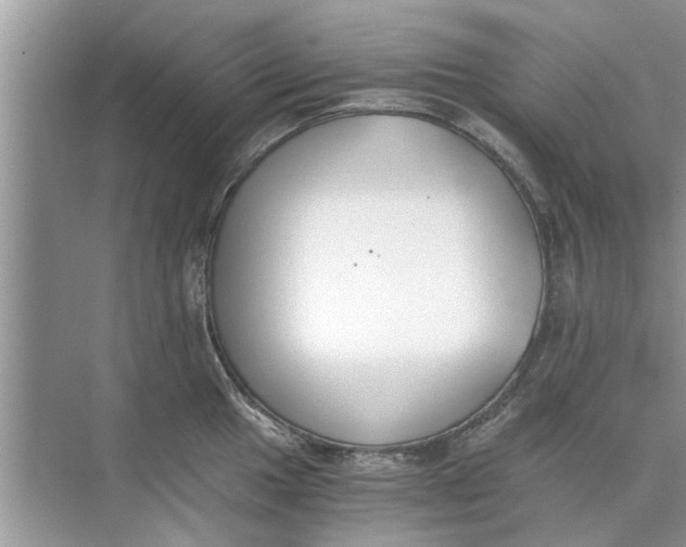 X0000073841049200608311929