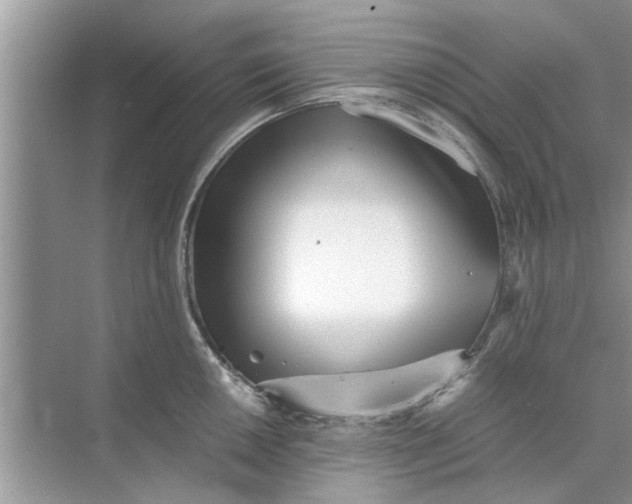 X0000073841050200608311929