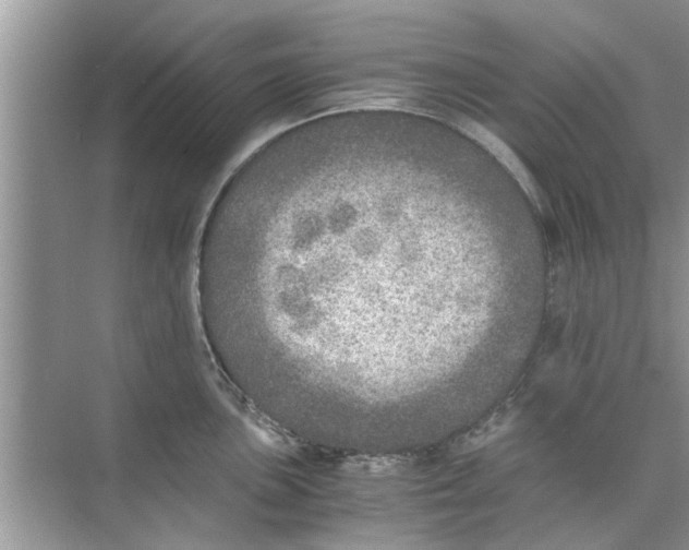 X0000073841051200608311929