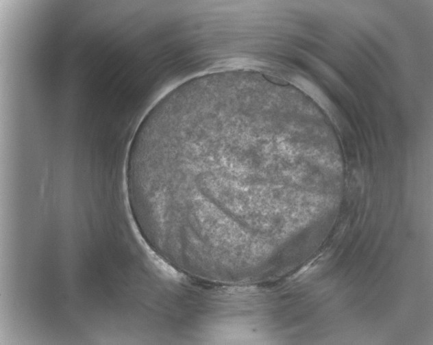 X0000073841055200608311930