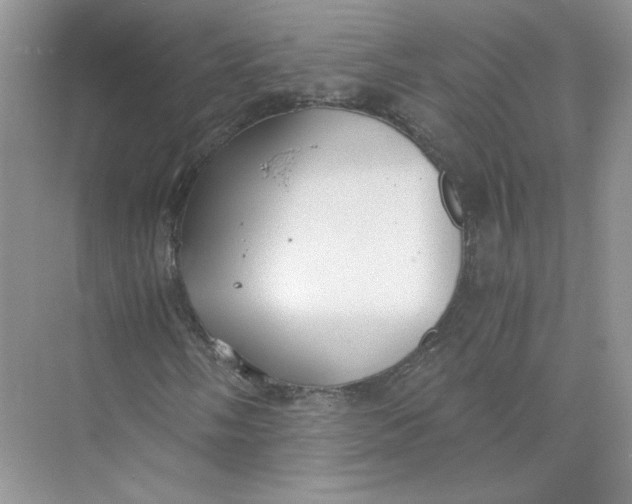 X0000073841058200608311929