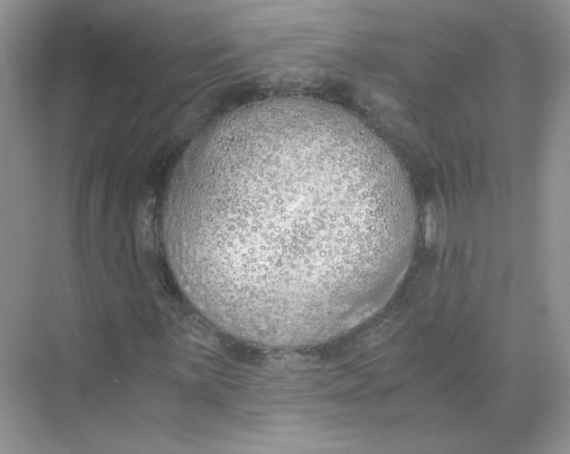 X0000073841059200608311929