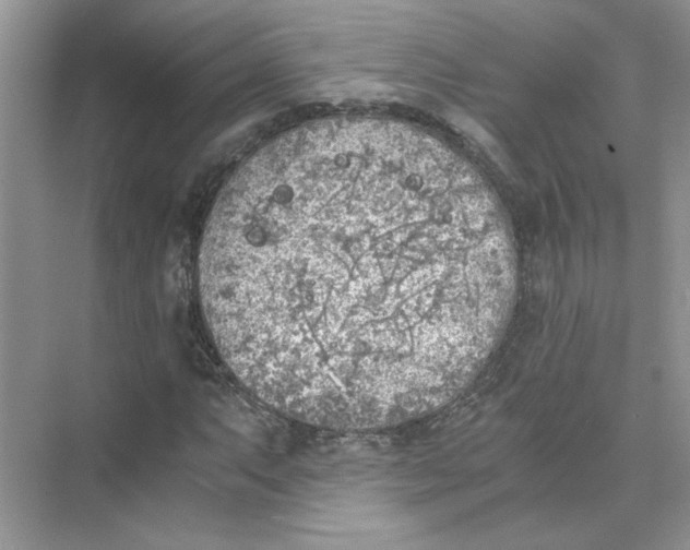 X0000073841063200608311929