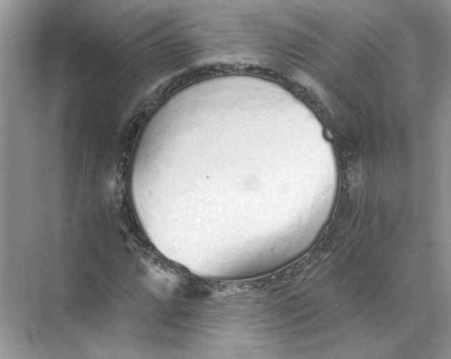 X0000073841064200608311929