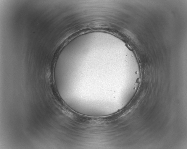 X0000073841065200608311929