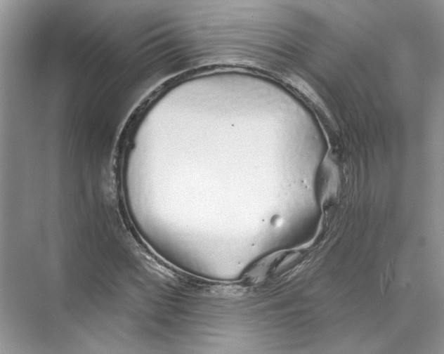 X0000073841068200608311929