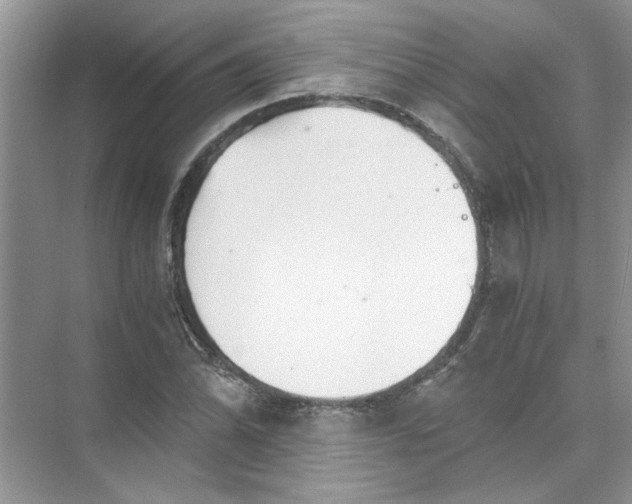 X0000073841070200608311929