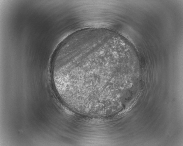 X0000073841071200608311929