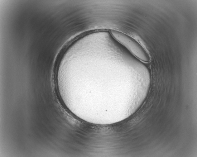 X0000073841072200608311929