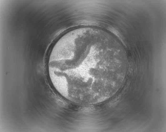 X0000073841074200608311928