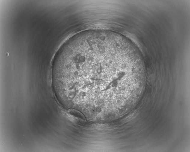 X0000073841075200608311928