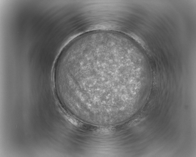 X0000073841078200608311928