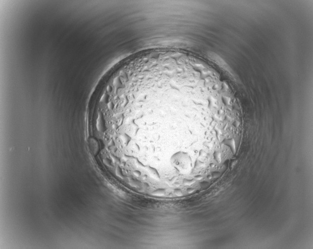 X0000073841079200608311928