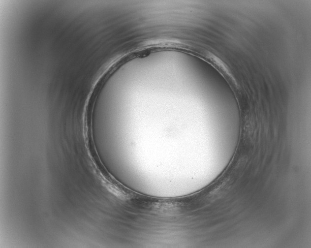 X0000073841082200608311928