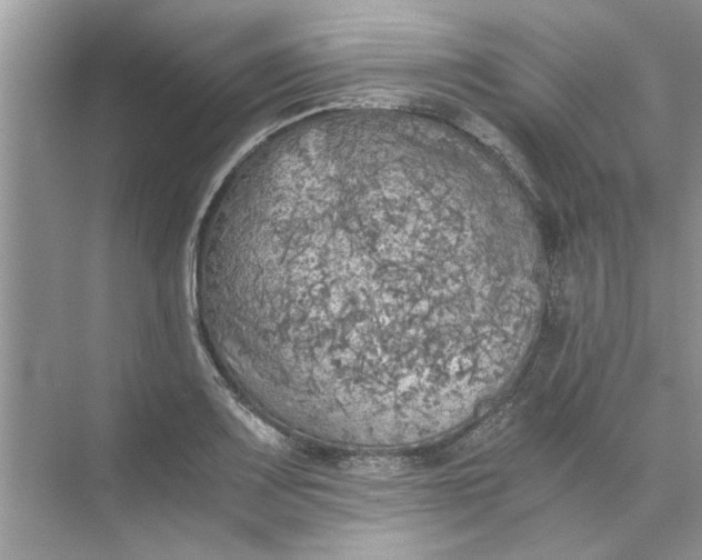 X0000073841083200608311928