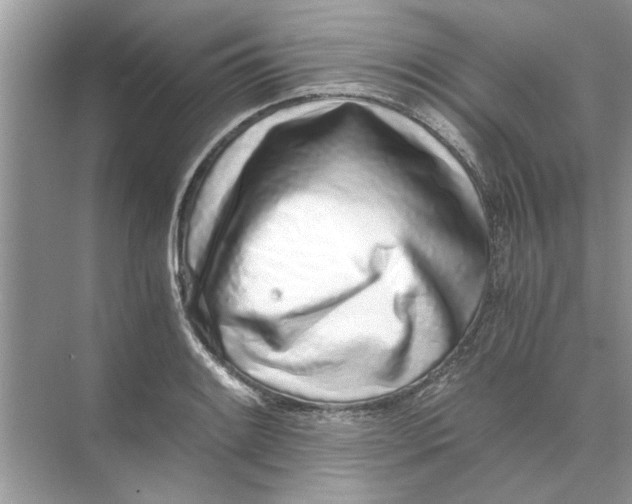 X0000073841084200608311928