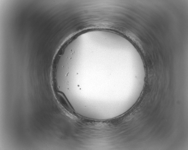 X0000073841085200608311928