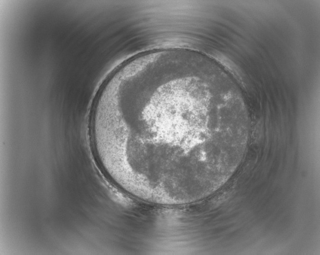 X0000073841086200608311928