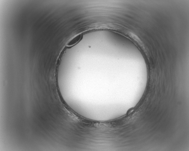 X0000073841089200608311928