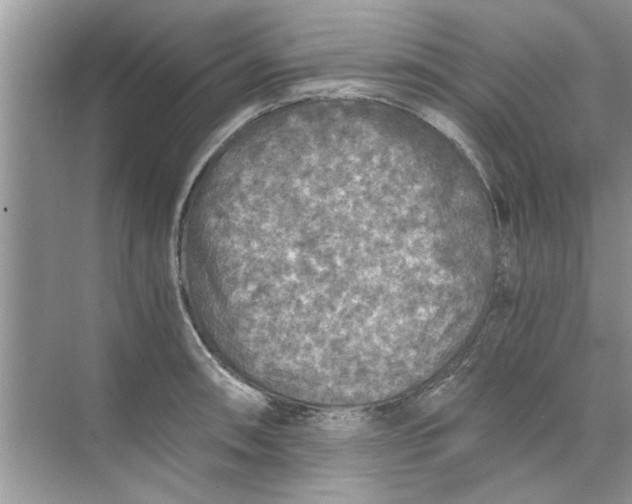 X0000073841090200608311928