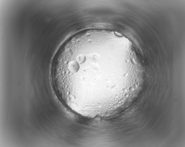 X0000073841091200608311928