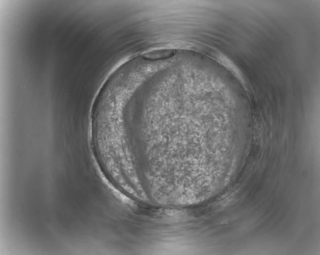 X0000073841095200608311928