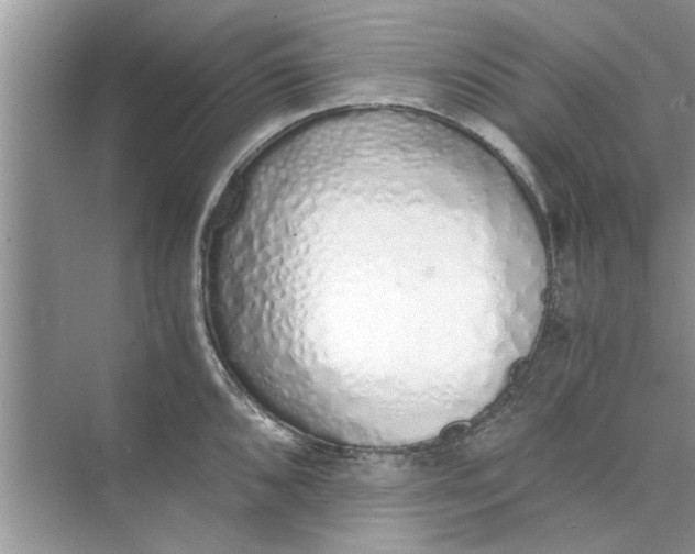 X0000073841096200608311928