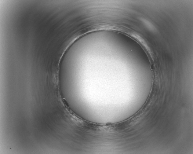 X0000073841097200608311928