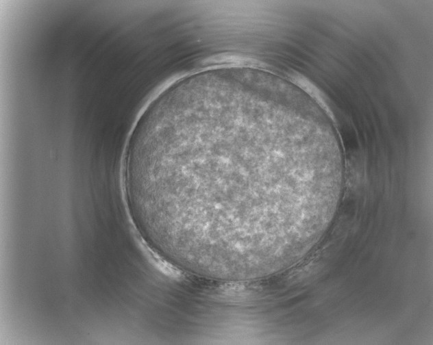 X0000073841098200608311928