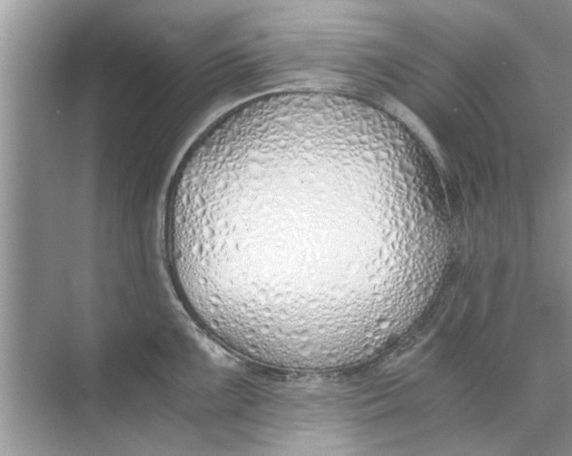 X0000073841099200608311928