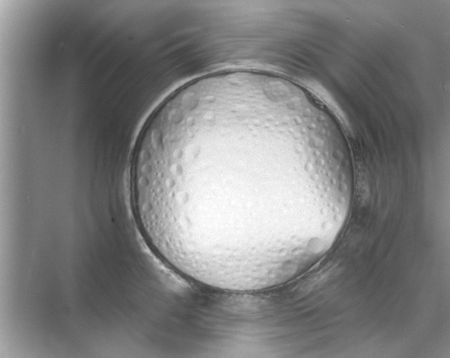 X0000073841100200608311928