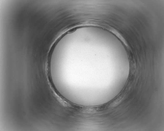 X0000073841101200608311928